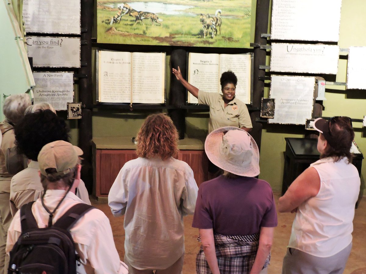 PaintedDogPDC's tweet photo. #Reflections2018 Our Interpretive Hall at the Visitors Centre was opened in 2007 opened with an aim is to educate visitors on the plight of painted dogs and raise awareness. In 2018, 4113 international and local people visited the centre.
#PDCVisitorsCentre #SaveThePaintedDogs https://t.co/y13CPctK0K