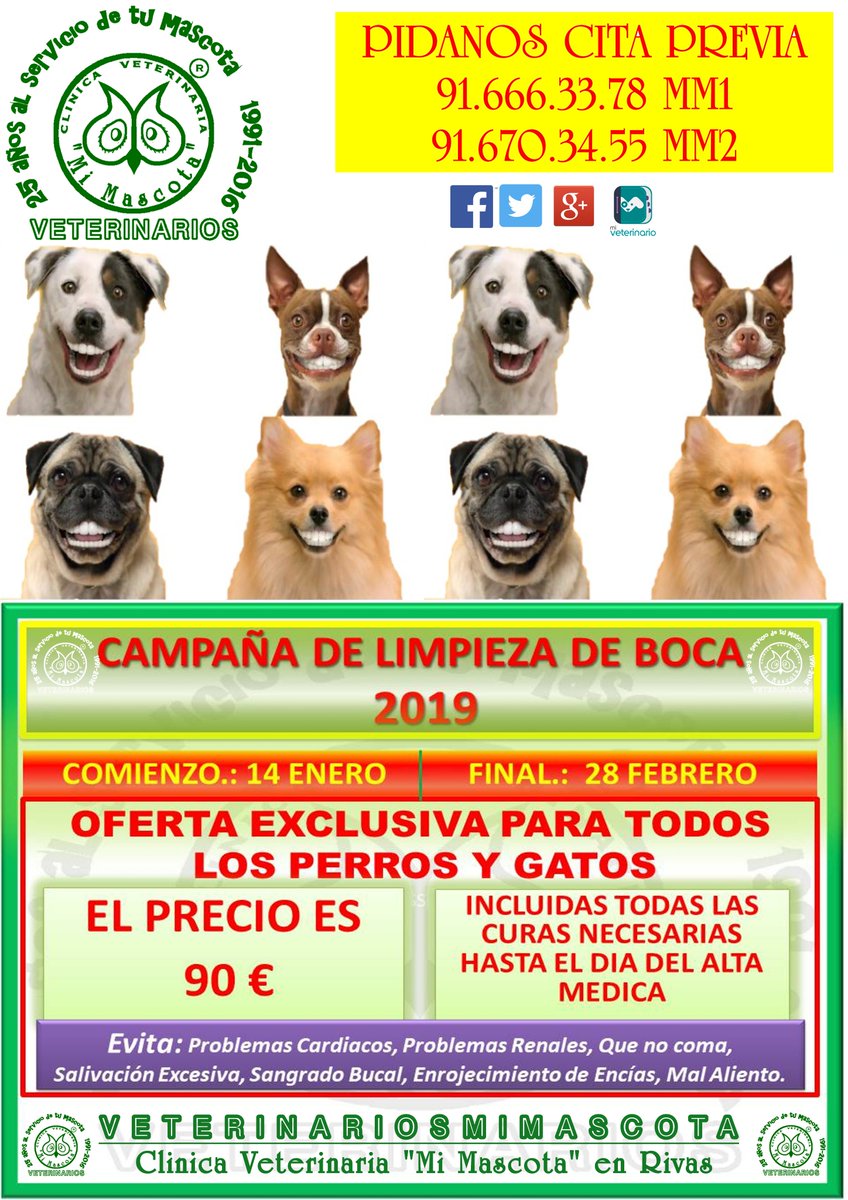 perros fecio de sangre de próstata