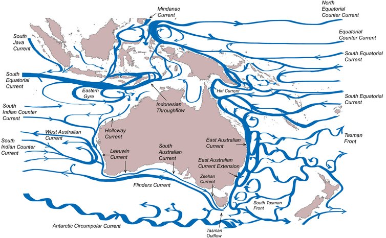 A new map shows surface currents around the Australian continent. Ems Wijeratne/Charitha Pattiaratchi/Roger Proctor