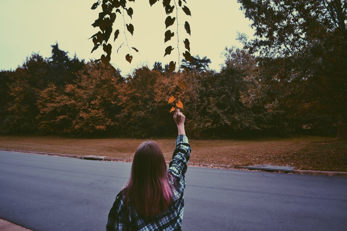 Discover 13 Summer ?? and aesthetic wallpapers ideas | orange aesthetic,  wall collage, palm trees wallpaper and more, image size:1200x800