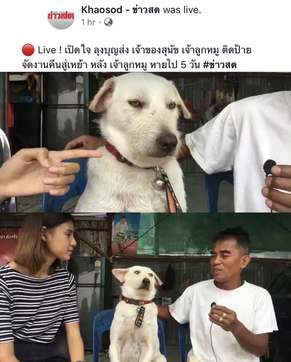 𝑯. 𝑷𝒐𝒕𝒕𝒆𝒓 ⚡️ tweet media