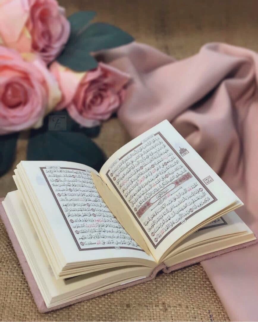 غادة الجربوع tweet media