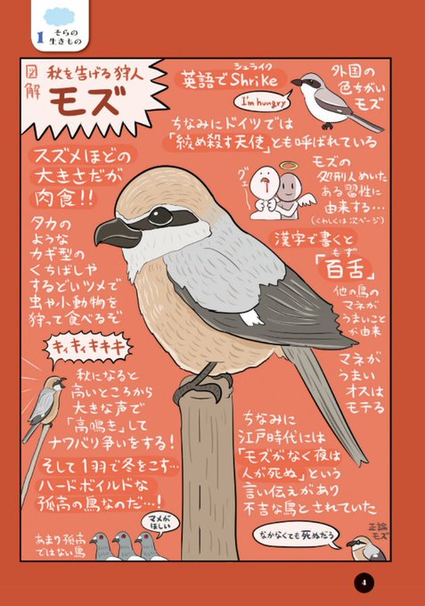 なんかへんな生きもののtwitterイラスト検索結果