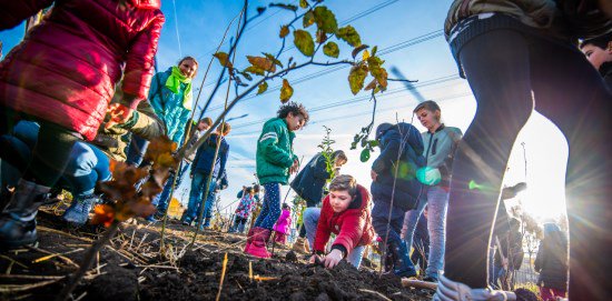Wilt u een Tiny Forest in uw buurt? De gemeente zoekt initiatiefnemers die dit samen met buurtbewoners en een school/BSO willen oppakken. Meer weten > bit.ly/2HjthVt