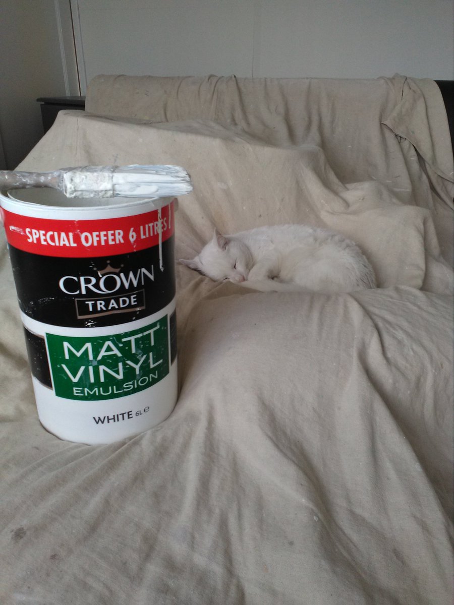 Friday feeling !! #chdecorators #painters #decor #lazy #cats