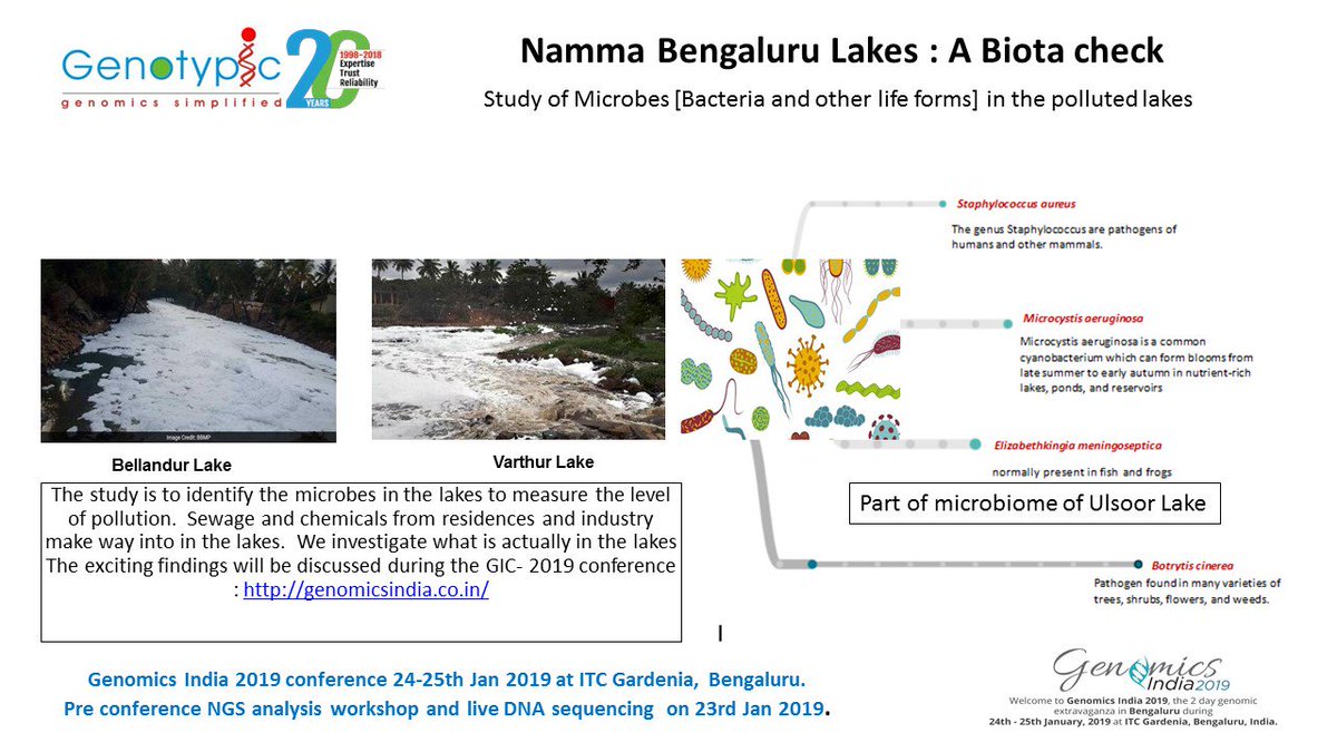 QTLomics's tweet photo. Discover the microbes living in Namma Bengaluru's lakes using DNA Sequencing by NGS.This study assess the level of pollution by capturing the microbial diversity,which will be discussed during our "Genomics India Conference-GIC2019" 24th to 25th Jan 2019.
https://t.co/qu1RdNeswa https://t.co/QP7oNQnO6r