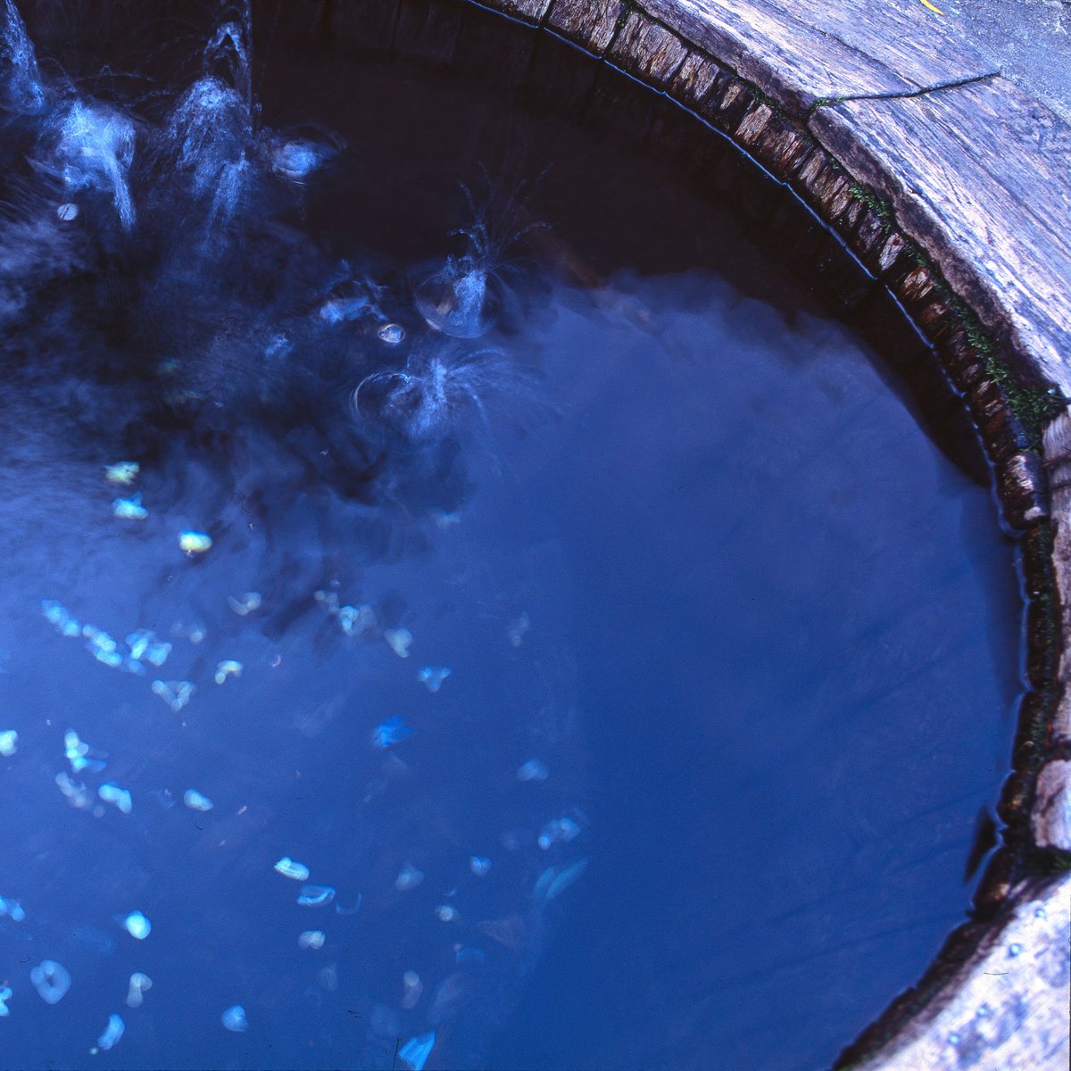 С ПРАЗДНИКОМ

На Крещение – фото самого известного Прощеного колодца Куликова поля от Романа Солопова. Приезжайте на купание!

#КуликовоПоле #Крещение #ПрощеныйКолодец