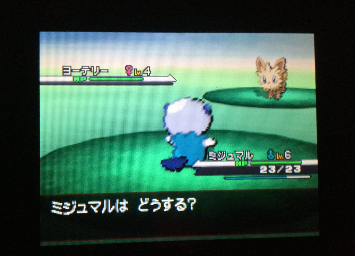 ポケットモンスターホワイト ポケットモンスターホワイト