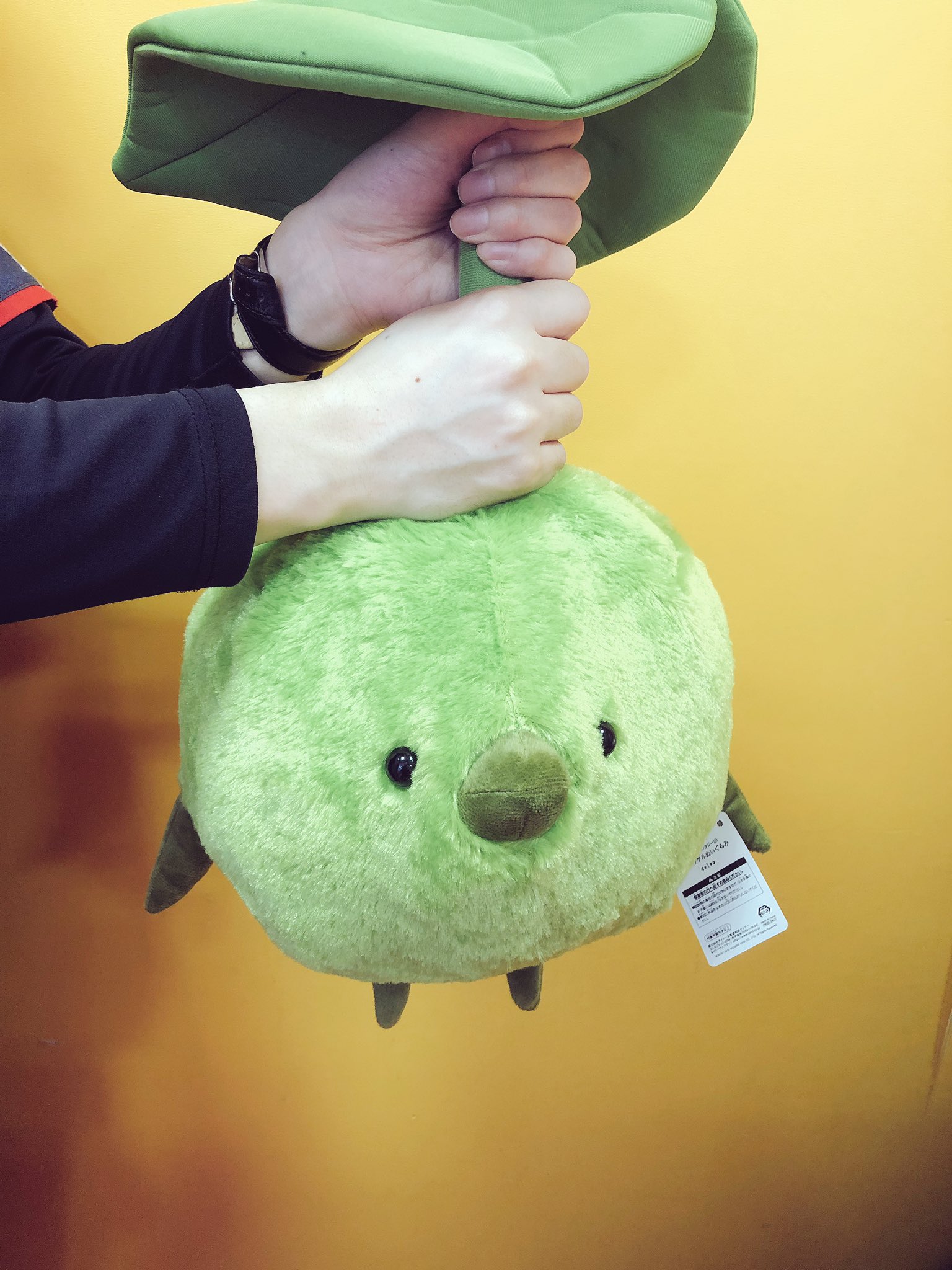 Amazon.co.jp: FF コロポックル ぬいぐるみ : おもちゃ