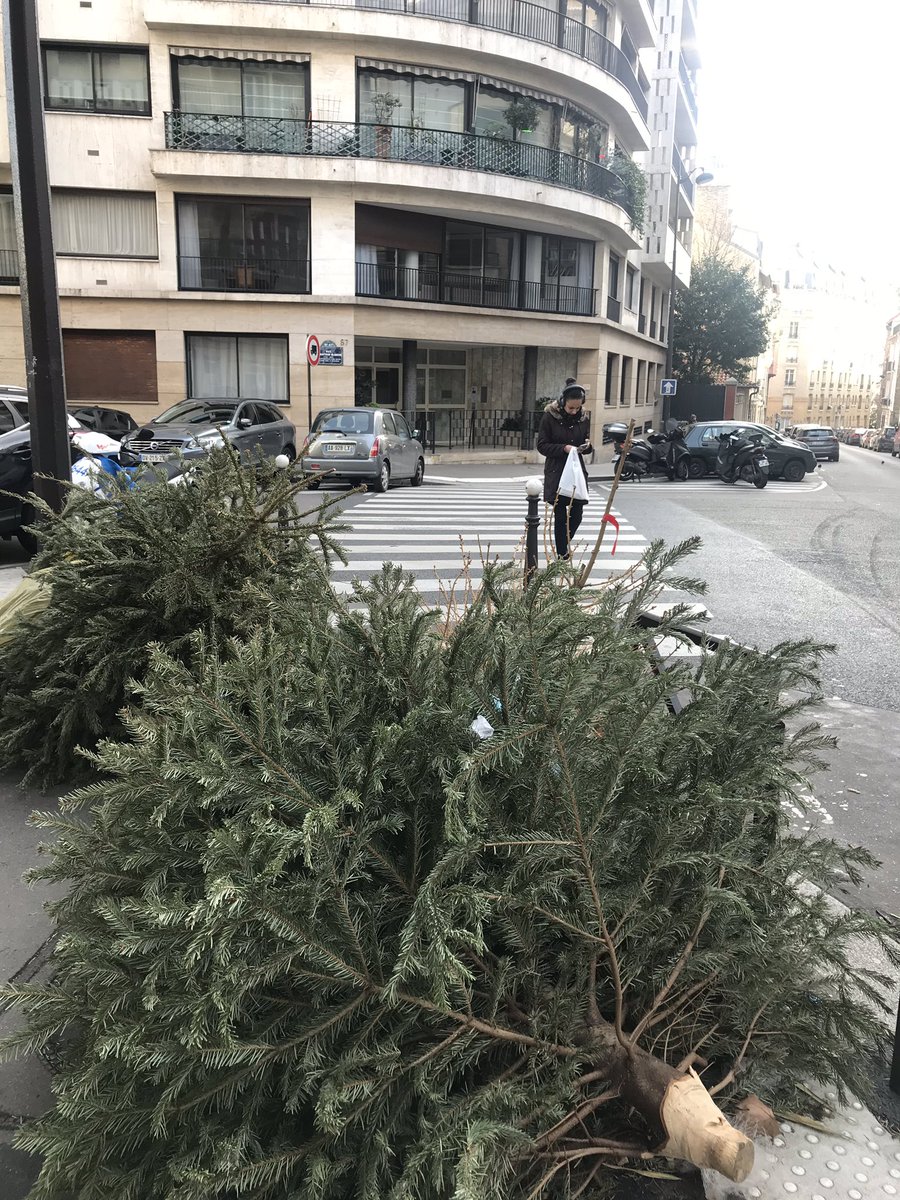 GazzolaFleur's tweet photo. Afin d’éviter ça... Déposez vos #sapins dans un #pointdecollecte. Qui puis est, ils seront #recyclés ! #jaimemonquartier #civisme #Paris Plus d’info sur https://t.co/Cgx6MpWGc1 https://t.co/ltmRvuuIJf