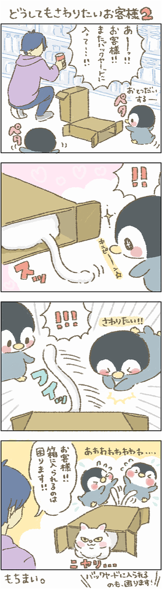 ・・・・お客様
誘惑されては困りますぅ〜〜

#もちもち #お客様困ります #ペンギン #ネコ #箱ねこ 