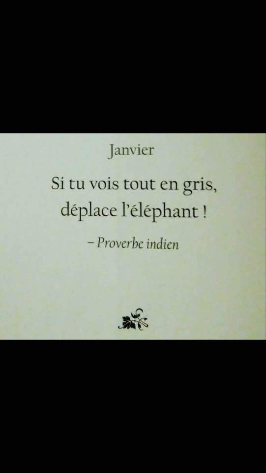 Jeanphilippedetonnac On Twitter