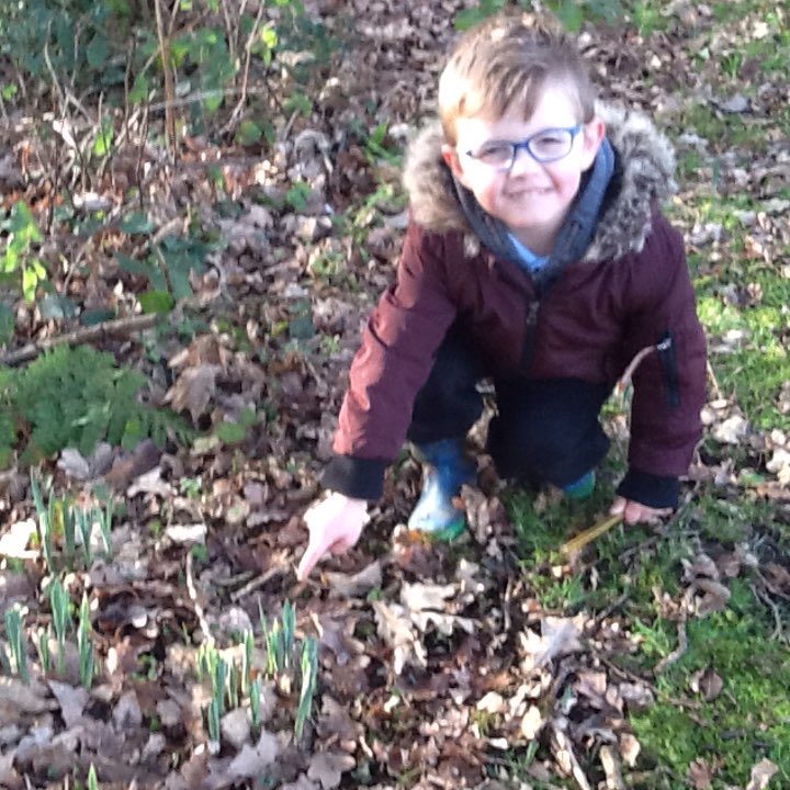 crcprimary's tweet photo. Reception B used our senses to explore the woodland area. We had lots of fun discovering nature @crcprimary #woodland learning #recb https://t.co/Ksr9Ygj96H