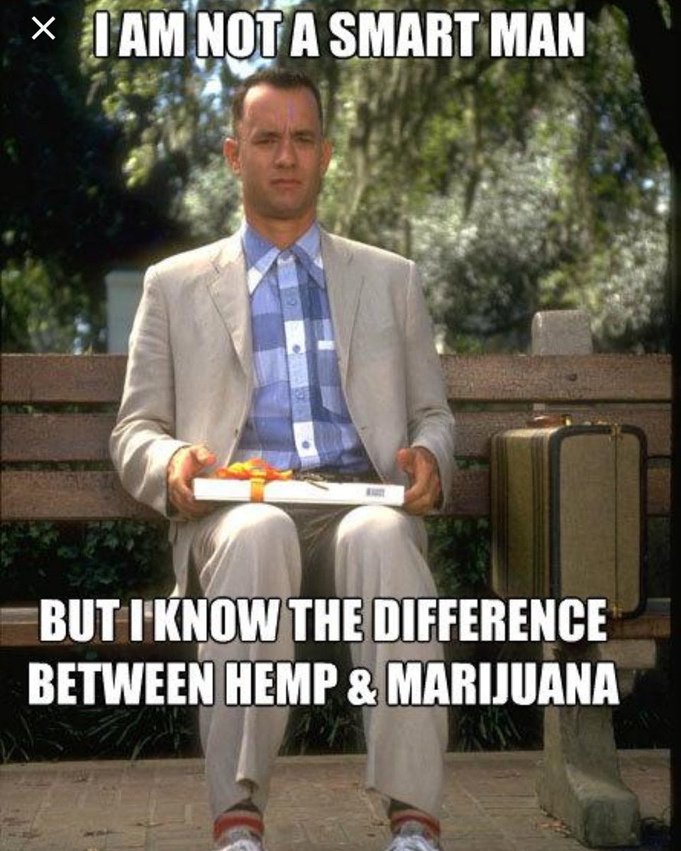 mrcomparecbd's tweet photo. 💚👊 #comparecbd #hemp #CBD #cbdoil #love https://t.co/Ub5FWalglo