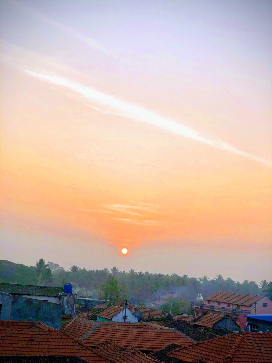 vrundavs's tweet photo. This effect done by #googlephotos
Liked it❣️#chikkade #mandya https://t.co/z3idxzeb6w