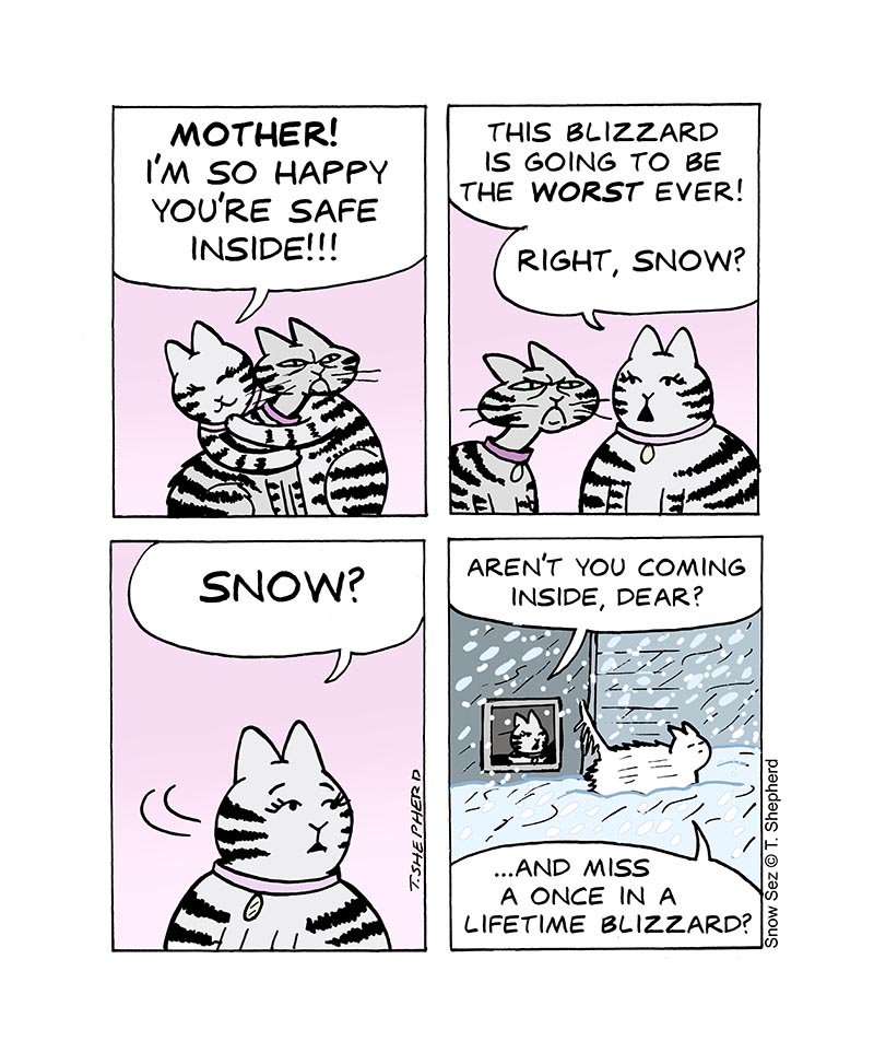 snowsez's tweet photo. Inside with Grandma Sourpuss OR outside in the worst blizzard EVER?🤔
https://t.co/UZ3LzIivBI
#dilemma #lesserofthetwoevils #sourpuss #grandma #motherinlaw #blizzard #snowstorm #snow #cat #catcomic https://t.co/uIPvbI35Oa