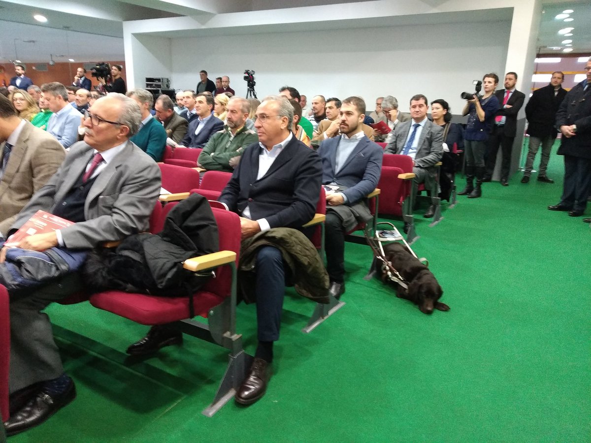 fedetoempresas's tweet photo. 200 personas en el acto de @Enclmdiario en @TalaveraFerial . El secretario general de Fedeto plantea las propuestas de Pymes y Autónomos para las elecciones del mes de mayo. https://t.co/QUxjcs6vWb