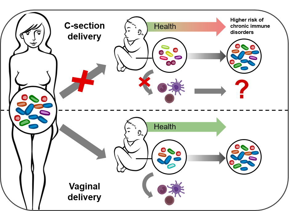 Nature Communications tweet media