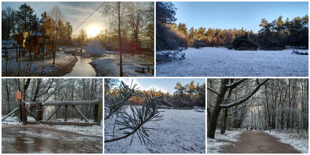 LandalMBG's tweet image. Landal Miggelenberg ligt er geweldig mooi bij in het witte landschap. Heerlijk weer voor een winterwandeling en een warme chocolademelk bij ons in de Brasserie!