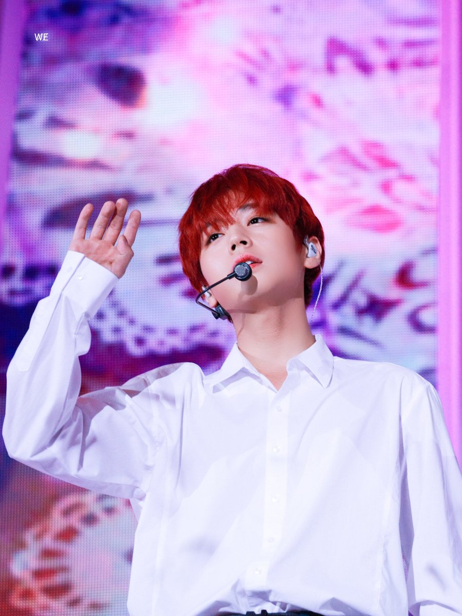 ʚ벨리ɞ tweet media