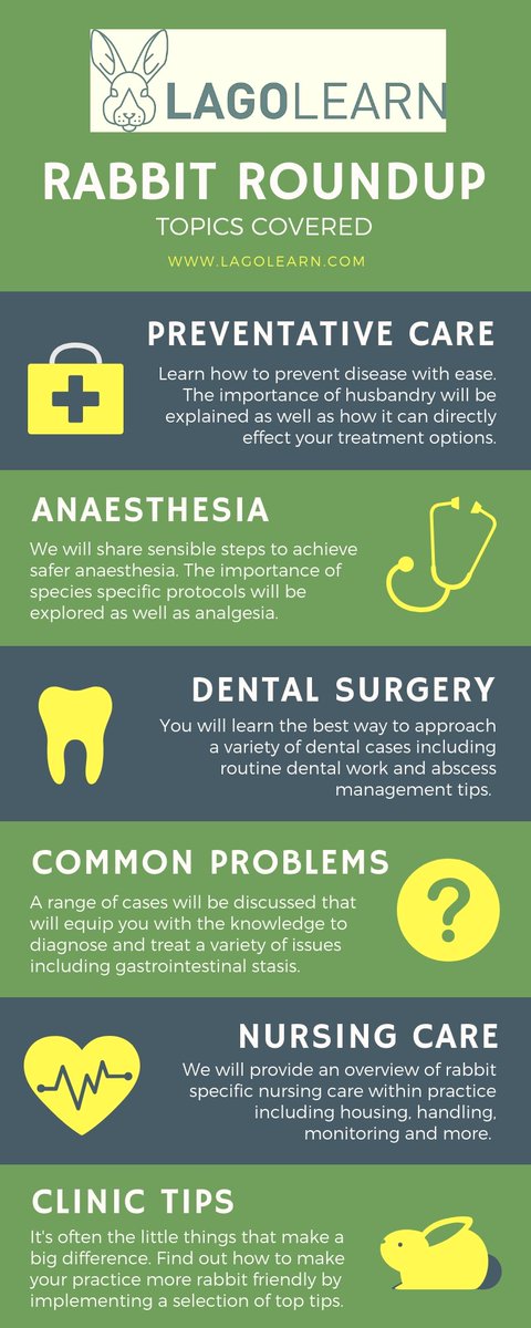 Lagolearn's tweet image. Booking closes soon! Dont miss out on the final tickets for a whole day of expert #rabbitCPD Email us to find out more: contact@lagolearn.com