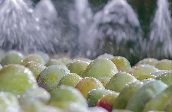 FoodNavigator-LATAM tweet media