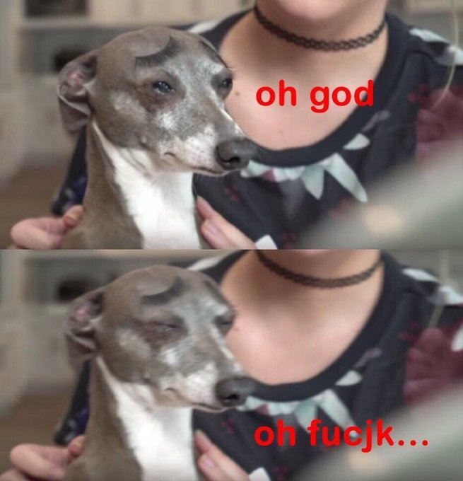 𝐍𝐄𝐒𝐒𝐈𝐄 (@lochmythmonster) on Twitter photo 