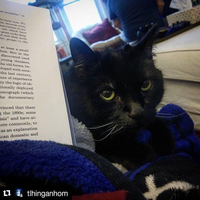 LibrarianArt's tweet photo. Content curated by
#Cameralibrarian
#blackcat #catsofinstagram #catpictures #cat
#bookstagram
@tlhinganhom
・・・
"Less book, more pets." #CatThoughts https://t.co/8kEnbPsnpa https://t.co/68xQmvsrpo