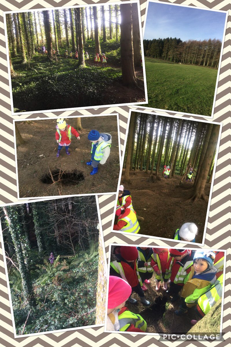 SaundersfootS's tweet photo. Reception children have been learning about different materials and the differences in our woodland environment. We have also been looking at animal homes 🦔 #ScpKUW #ScpOut https://t.co/WZRU6QP45u