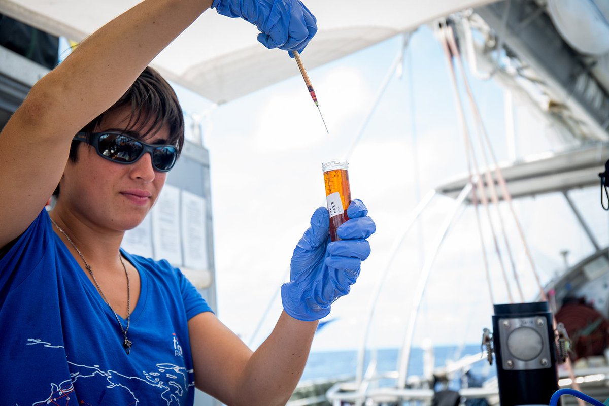 TaraOcean_'s tweet photo. Quel rôle jouent les micro-organismes marins dans le fonctionnement de notre planète ? RDV lundi 21 #TelAviv avec @vincentflora , chercheuse en biologie marine @WeizmannScience à bord de #TaraOceans et #TaraPacific, pour en savoir + sur ses recherches !
➡️ https://t.co/RzqVMYmi1W https://t.co/SRdJXH5UOJ