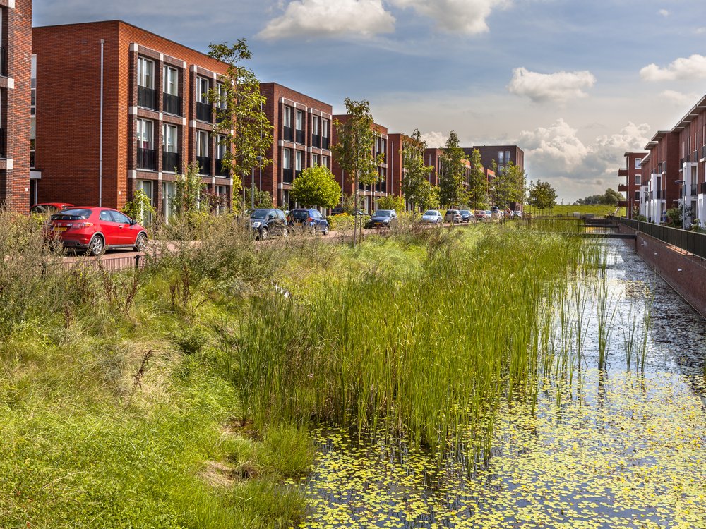 Een #klimaat-adaptieve stad creëren met hulp van de #natuur? Met meerwaarde voor #economie en leefklimaat? Kom op 7 februari 2019 naar de Building with Nature Conventie bij het Ministerie van Economische Zaken en Klimaat lnkd.in/gYwMpCH #watermanagement #kustbescherming