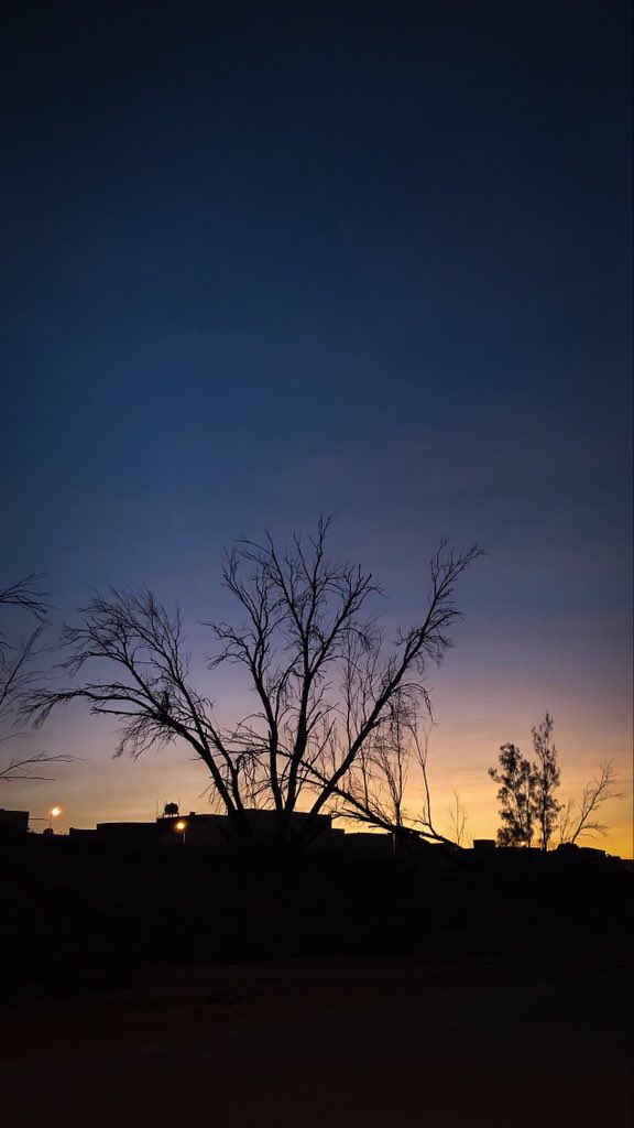 ixvs0's tweet image. #صوره_من_سنابك