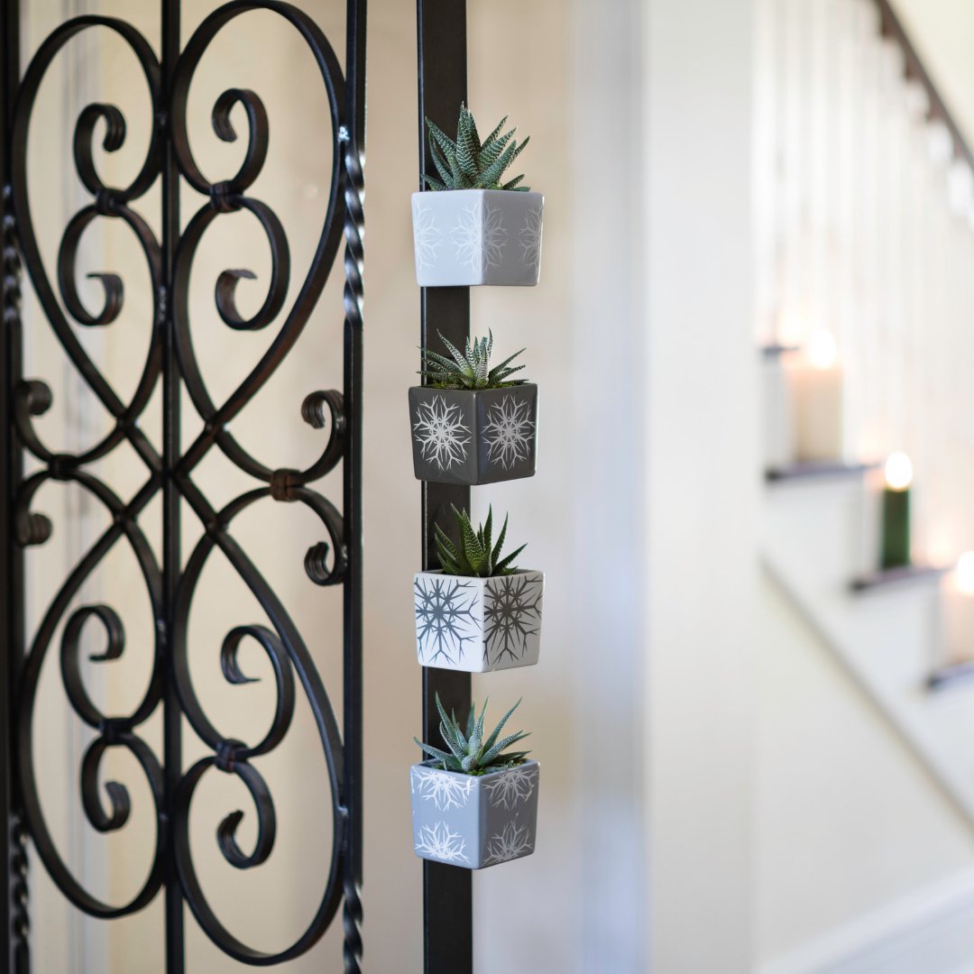 LiveTrends Design tweet media