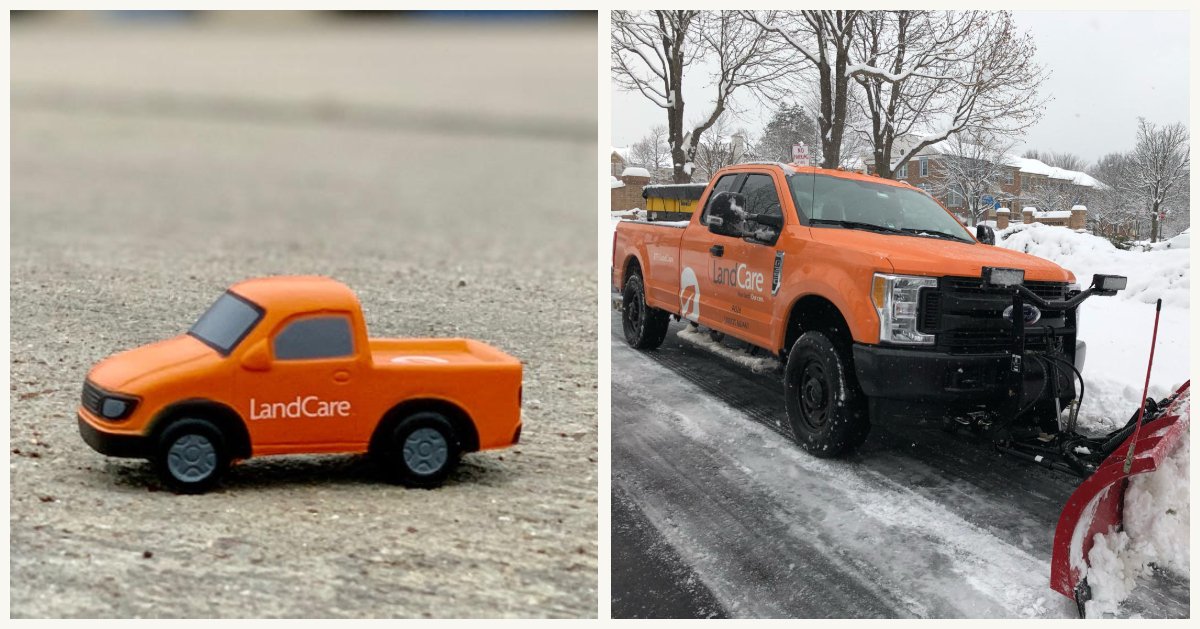 Much has changed at LandCare over the past 10 years! #AllGrownUp #10YearChallenge #HowHaveYouChanged #HappyFriday