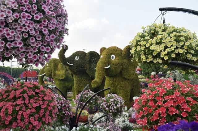 iTravel2Live75's tweet photo. Enjoy the colourful flowers and amazing designs at Dubai Miracle Garden. Open only during winter season. Entrance fee is 50 AED for adults. #DubaiMiracleGarden #myDubai #iTravel2Live #travelingpinoy #weekend #getaway #relax #explore #discover https://t.co/8CmFJflzBU