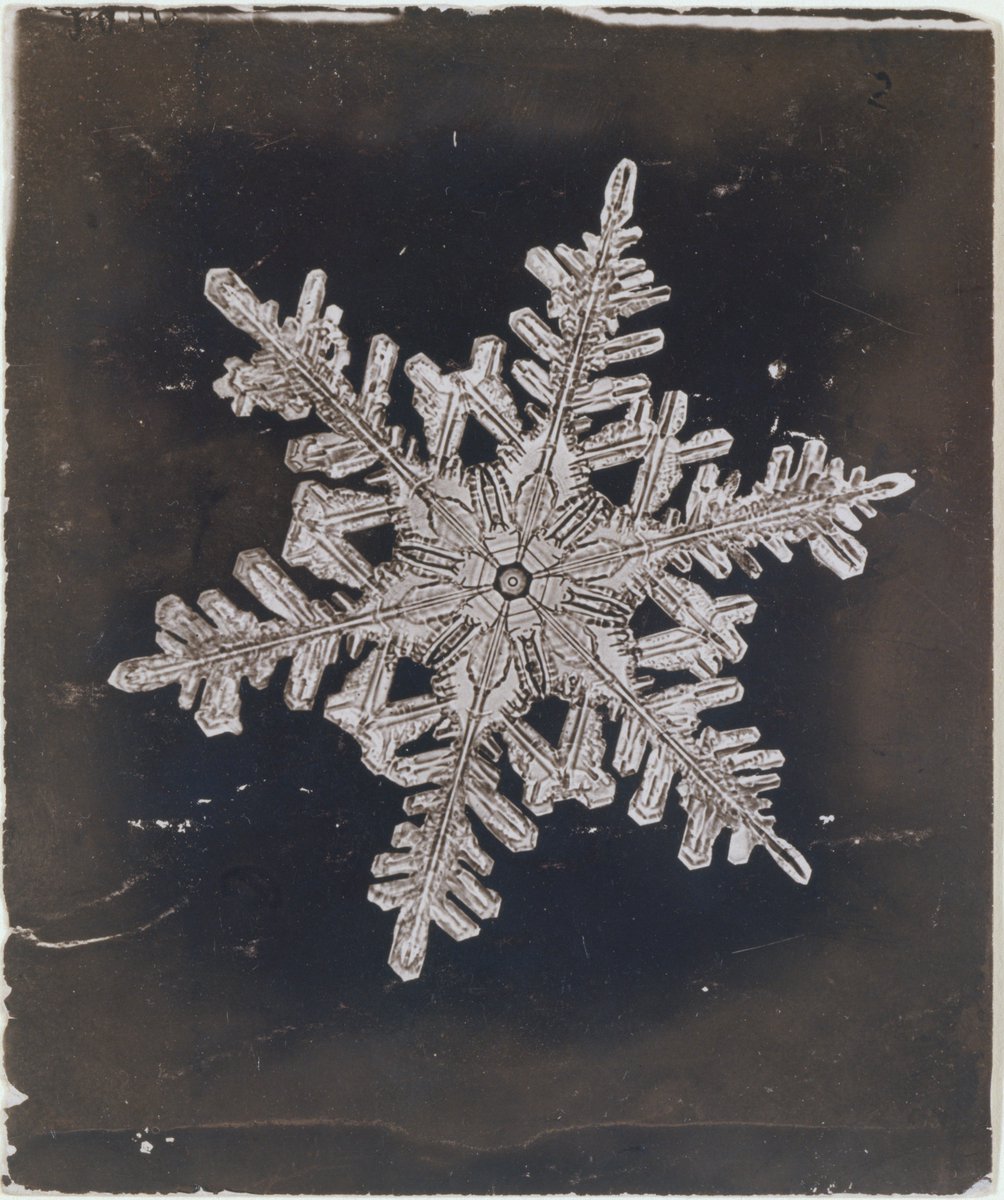 ❄ Did you know that the first known photograph of a single snowflake was captured in 1885 by Wilson Alwyn Bentley, a farmer from Vermont? met.org/2HmwIKW