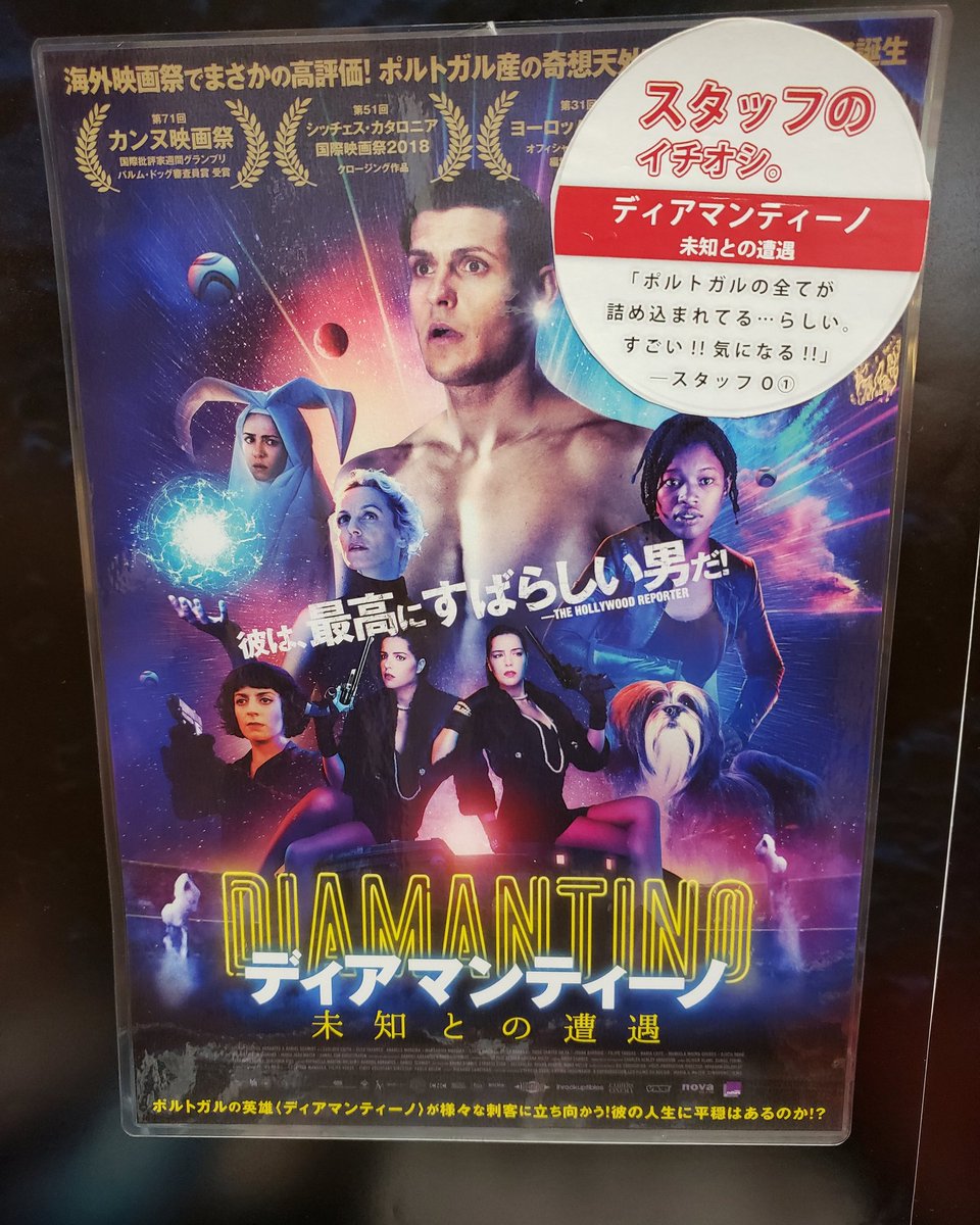 みむさん 𝒎𝒊𝒎𝒖 𝒔𝒂𝒏 ディアマンティーノ 未知との遭遇 観た ディアマンティーノのルックスcロナさん意識 ポルトガル10番だし お金とサッカーの才能とルックスは持ち合わせてるが天然すぎ 身の回りに起こる珍事 謎ワンコ ラブ みむさん 𝒎𝒊𝒎𝒖 𝒔𝒂𝒏 ディアマンティーノ 未知との遭遇 観た ディアマンティーノのルックスcロナさん意識 ポルトガル10番だし お金とサッカーの才能とルックスは持ち合わせてるが天然すぎ 身の回りに起こる珍事 謎ワンコ ラブ