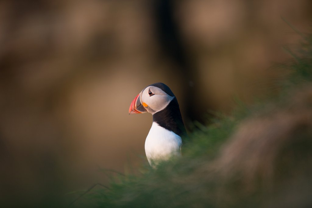 orkneycom's tweet photo. We're delighted to see #Orkney nominated for #BBC @CountryfileMag's Best Holiday Destination 2019 award 😀 The public vote is now open ➡️ https://t.co/rE3OXtc3x6 (just saying...😉) #VisitOrkney #ScotlandIsNow https://t.co/XrshKZWbMa