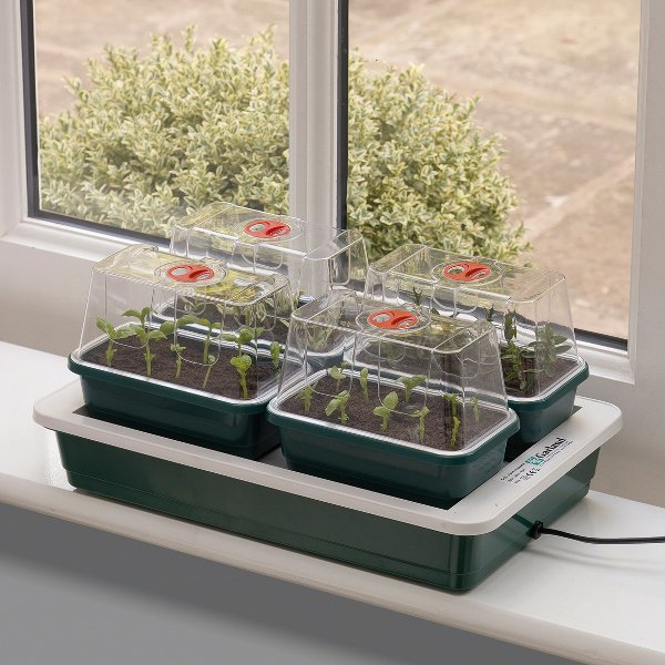 Kings Seeds On Twitter Special Offer Get 30 Off Electric