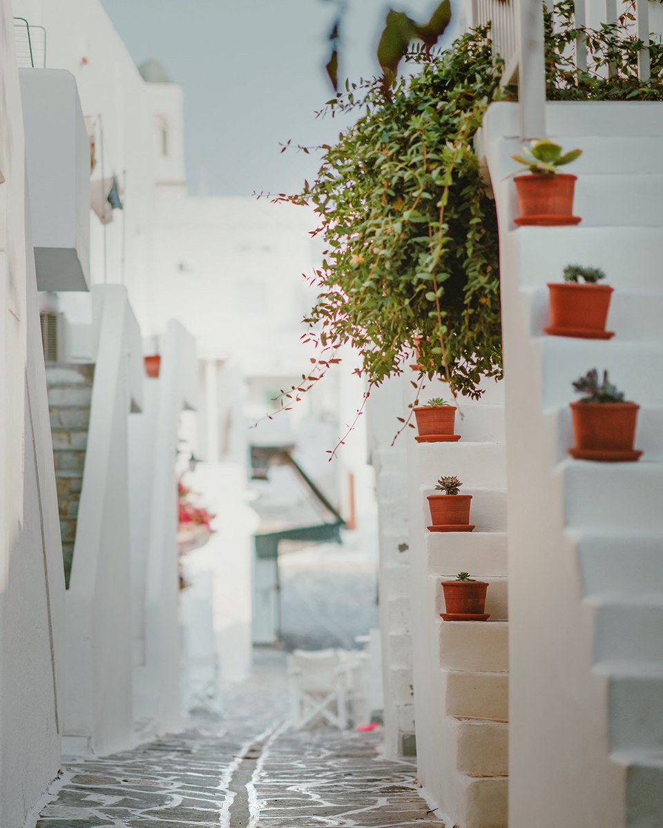 DiscoverGRcom's tweet photo. Hands up if you’re heading to the #Cyclades islands this summer! ☀️ #DiscoverGreece #AegeanIslands

📍 https://t.co/JgVZ1EcSEb

#Greece #GreekIslands #TTOT #TravelInspo #BucketlistNow https://t.co/ZLaXkG948E