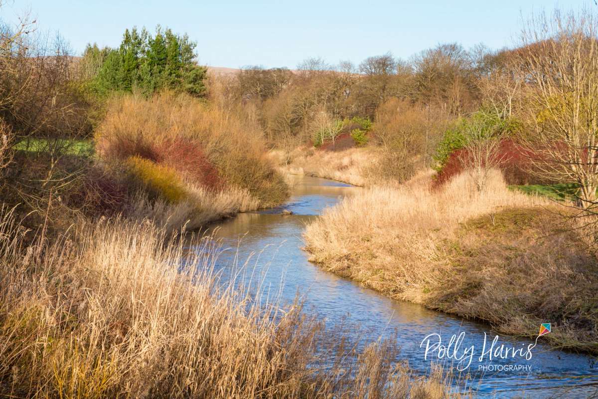 PollyHPhoto's tweet photo. #locationhunting 
Always looking for new locations to photograph families. Polly xx https://t.co/WQl4ft8xSR