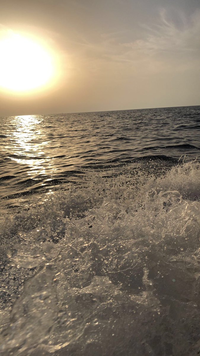 صدري شمالي tweet media