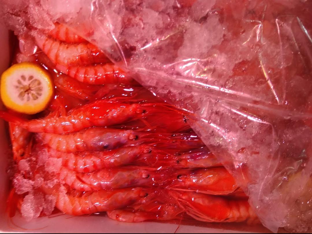 papamarmadrid's tweet photo. ¿Te imaginas esta maravilla en tu mesa este #findesemana? ¡No te lo pienses y pídeselo a #PapaMar!

#FelizViernes #FelizFinde #PescaderíaMadrid #Pescado #ProductosFrescos #Fish #Fisher #Madrid #ProductosDeCalidad #Productosdetemporada https://t.co/RYSGJreFIl