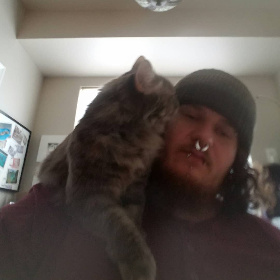 MetalAndMacabre's tweet photo. It's hard to #riseandgrind when you're attacked with #kitten #kisses over my morning #coffee https://t.co/IrWFkxjivb