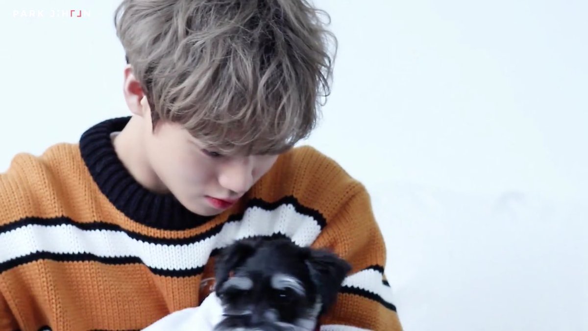 malang_wink's tweet photo. 진짜 너무 귀염ㅂ다 이 프레임의 모든 것이 ㅠㅠㅠ https://t.co/bPluJ7P831