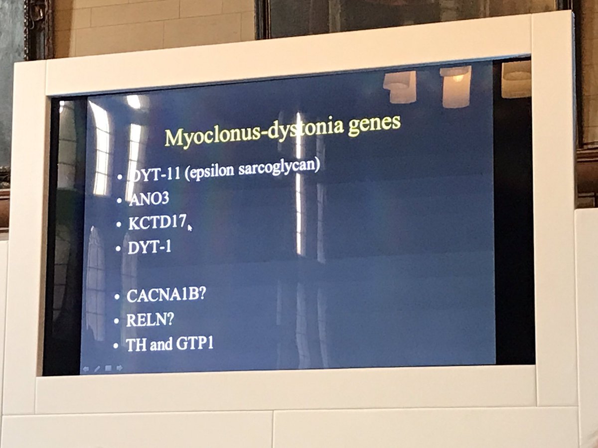 BhamModis's tweet image. #abnmdsig myoclonus dystonia genes