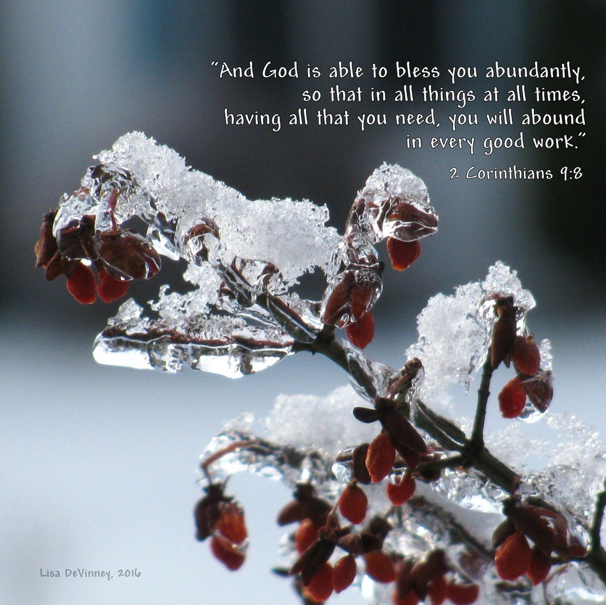 Lisa DeVinney (@lldevinney) on Twitter photo 