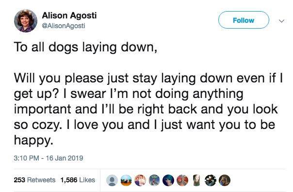 Men's Humor (@MensHumor) on Twitter photo 18/01/2019 19:30:36 I wanna tag my dog in this I wanna tag my dog in this