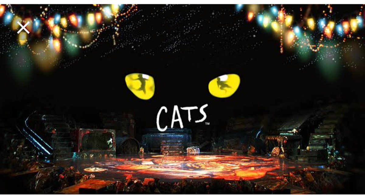 03jun13's tweet photo. ミュージカル「CATS」観にいってきました！
本当にすごかった
セットも歌も衣装も全て凄かった
美術さんってすごいなぁ

メモリーは本当に感動した
ただただ圧巻でした https://t.co/v3CGJaQhPj