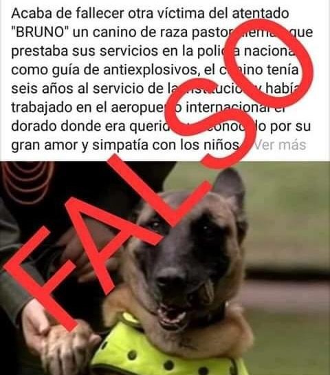 Carabineros de Colombia (@carabineroscol) on Twitter photo #FakeNews. Está circulando en redes sociales una imagen de un canino policial llamado BRUNO, como afectado en el atentado de la <a href="/EscuelaDCadetes/">Escuela de Cadetes de Policía General Santander</a>.
Esto es FALSO. Ningún semoviente canino o equino fue afectado. #YoProtejoLosAnimales #FakeNews. Está circulando en redes sociales una imagen de un canino policial llamado BRUNO, como afectado en el atentado de la <a href="/EscuelaDCadetes/">Escuela de Cadetes de Policía General Santander</a>.
Esto es FALSO. Ningún semoviente canino o equino fue afectado. #YoProtejoLosAnimales